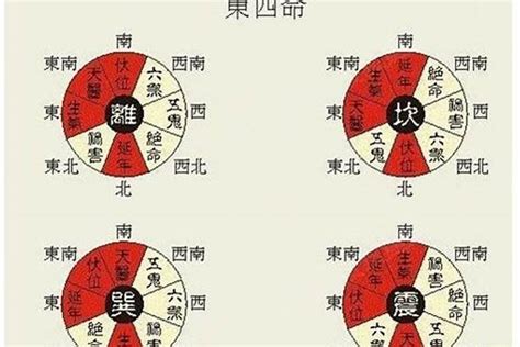 东四命|东四命西四命速查表 命卦对照表